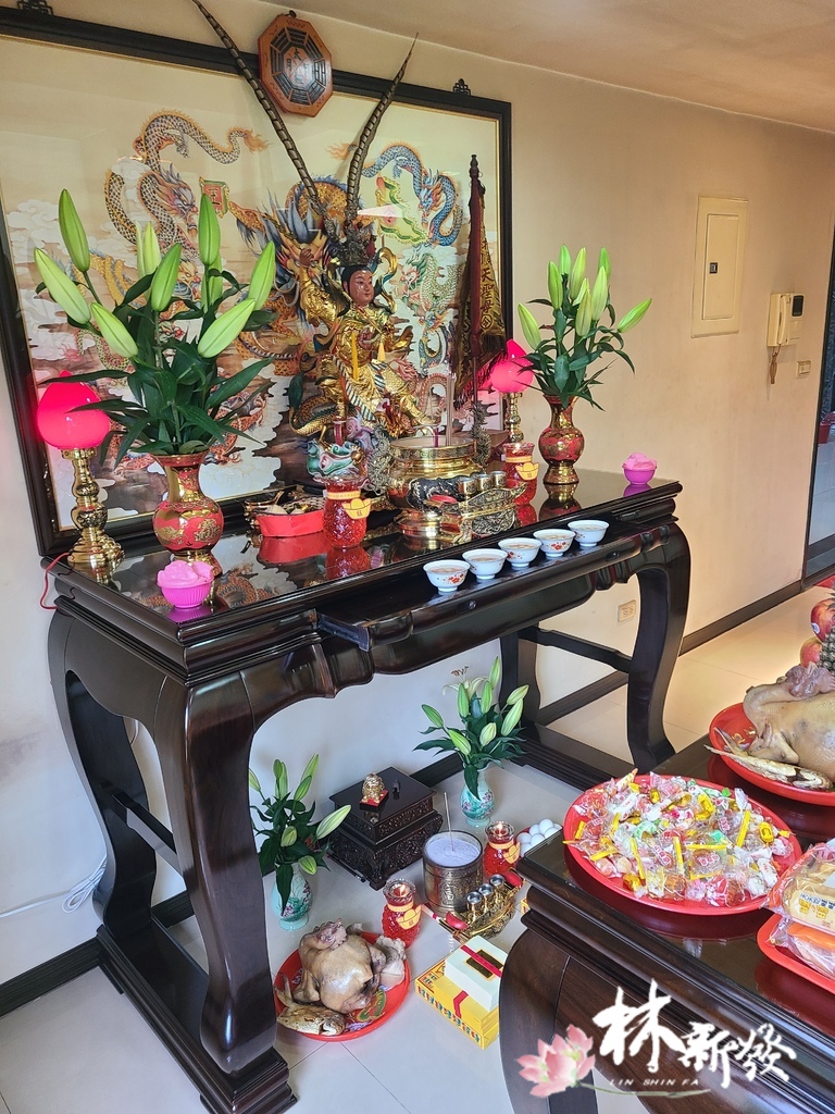 施施-005.jpg 施施-005.jpg