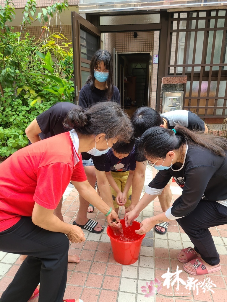 楊梅安座漢式如意-017.jpg 楊梅安座漢式如意-017.jpg