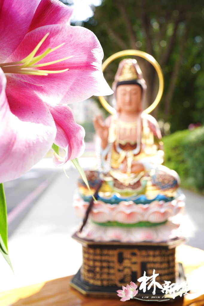 可遇不可求的菩薩-001.JPG 可遇不可求的菩薩-001.JPG