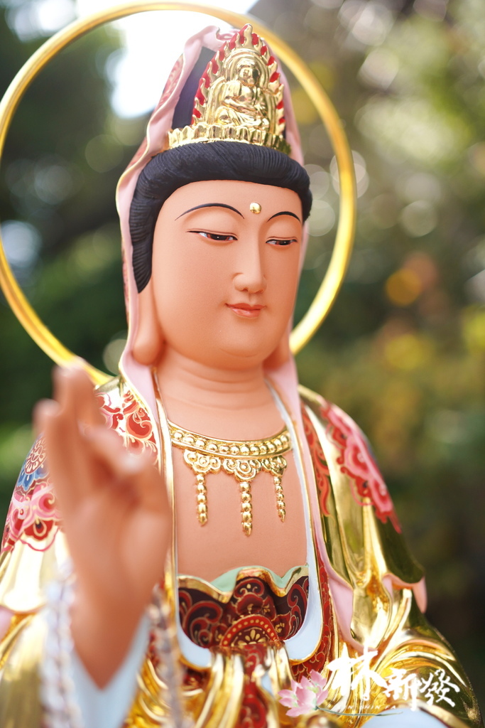 可遇不可求的菩薩-010.JPG 可遇不可求的菩薩-010.JPG