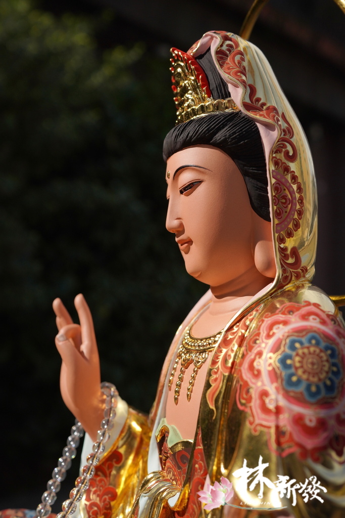 可遇不可求的菩薩-013.JPG 可遇不可求的菩薩-013.JPG