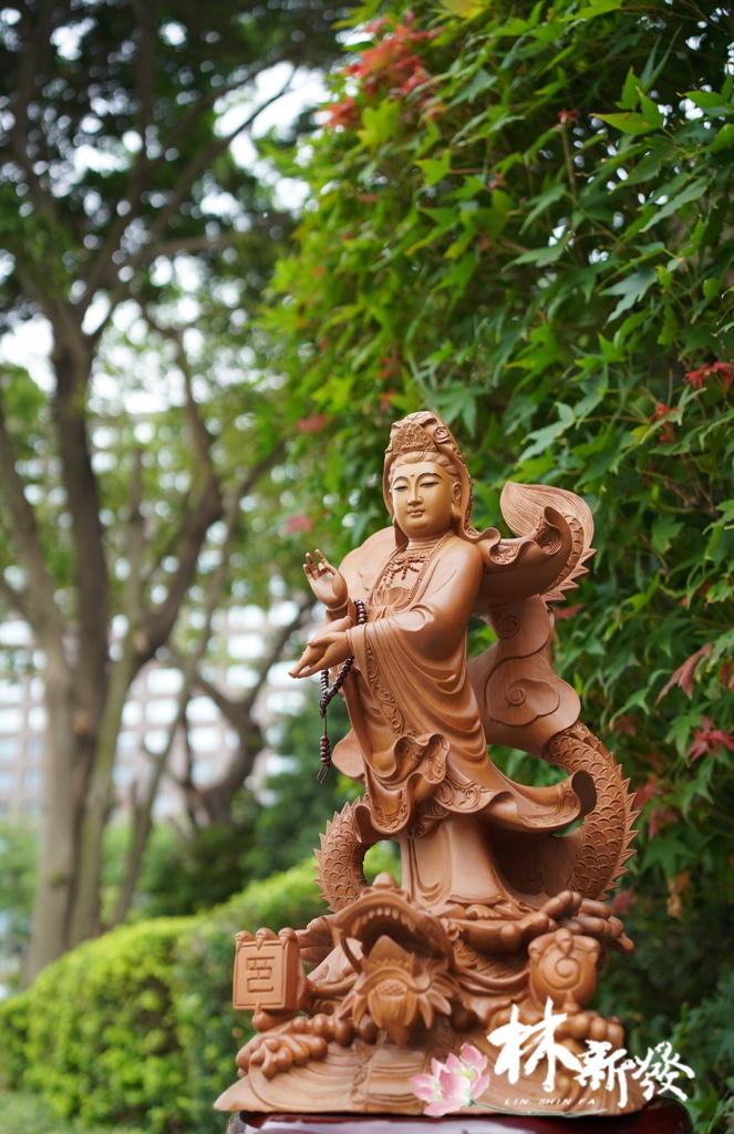 尺六龍觀音作品欣賞-005.JPG 尺六龍觀音作品欣賞-005.JPG