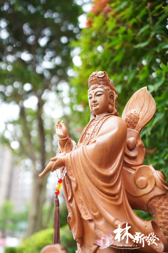 尺六龍觀音作品欣賞-010.JPG 尺六龍觀音作品欣賞-010.JPG