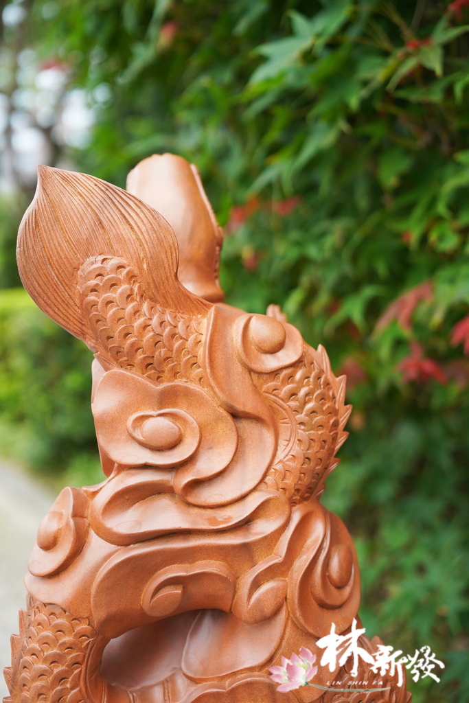 尺六龍觀音作品欣賞-015.JPG 尺六龍觀音作品欣賞-015.JPG