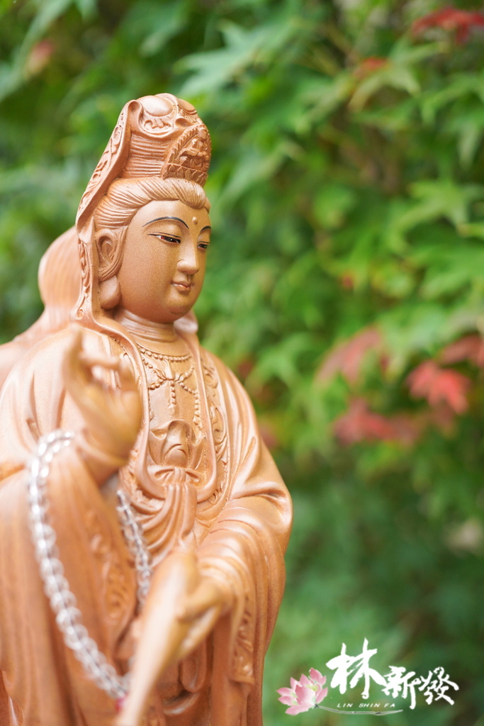 尺六龍觀音作品欣賞-019.JPG 尺六龍觀音作品欣賞-019.JPG