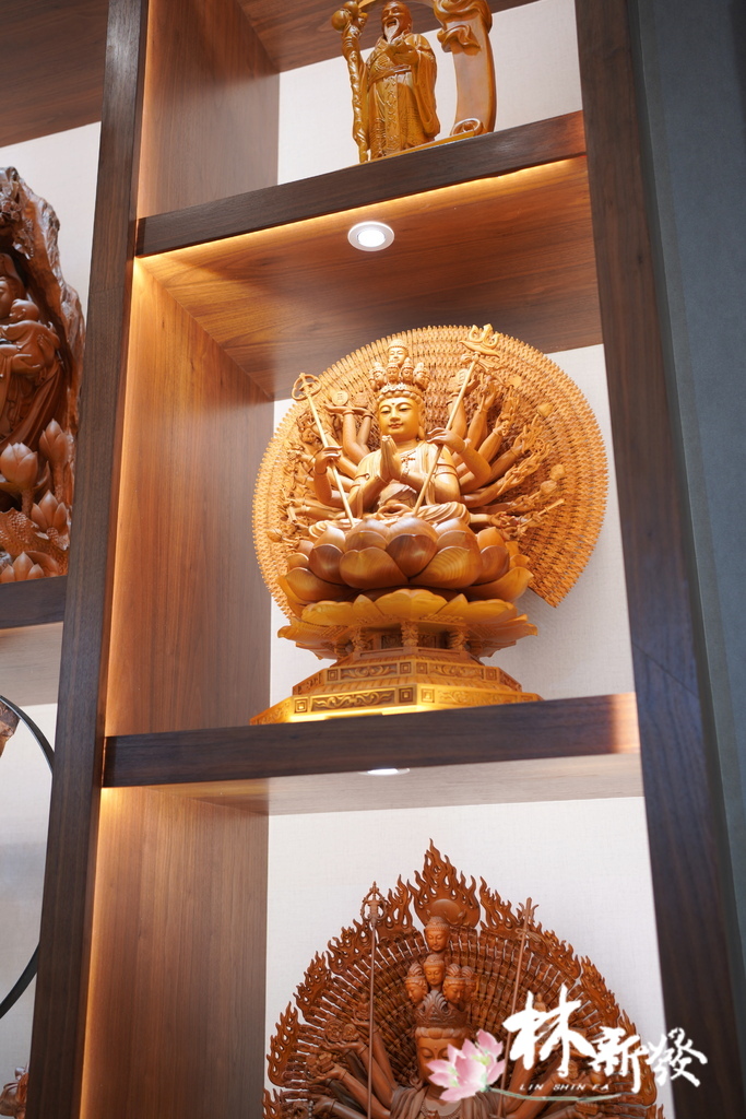 DSC09482.JPG DSC09482.JPG