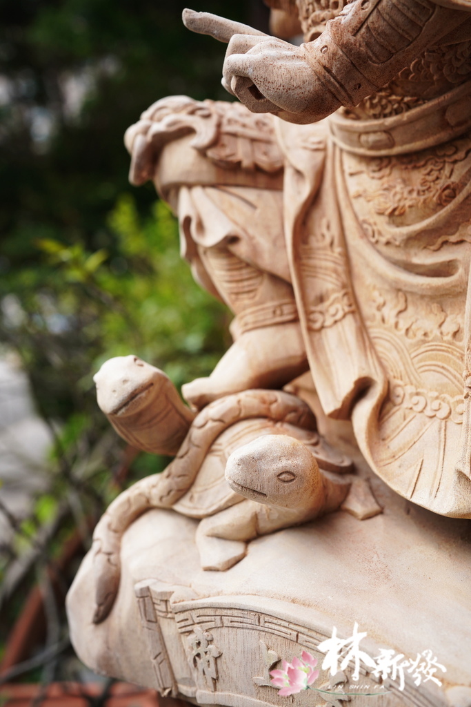 110年來看的上帝公-004.JPG