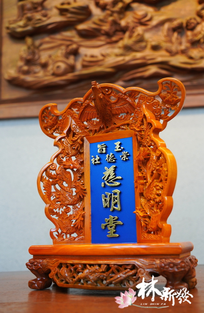 DSC00599.JPG