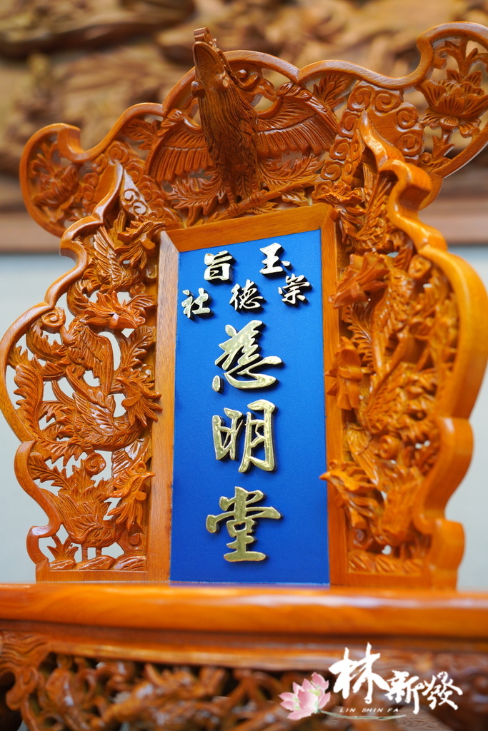 DSC00600.JPG