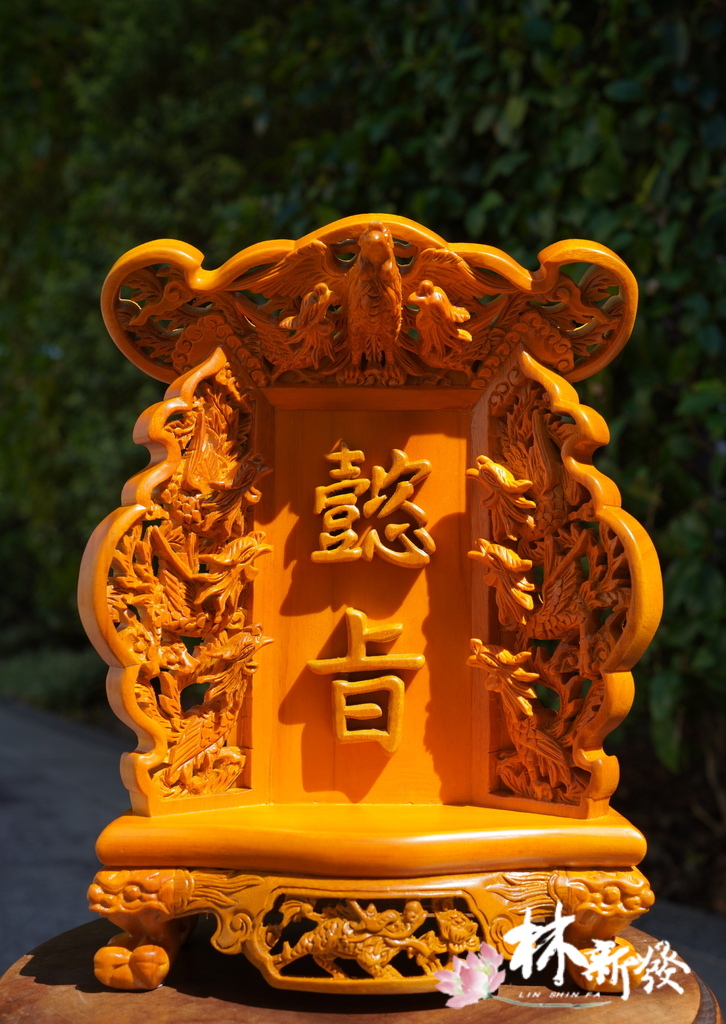 DSC03207.JPG