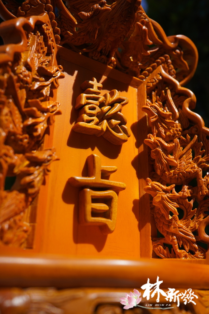 DSC03211.JPG