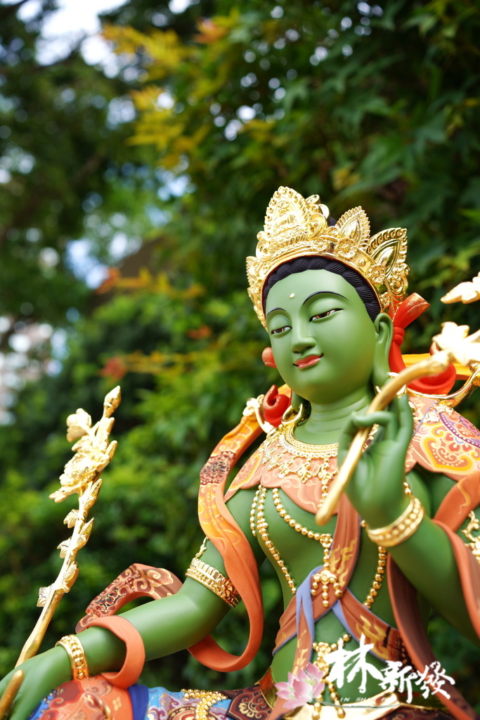 藏傳綠度母之美-018.JPG 藏傳綠度母之美-018.JPG