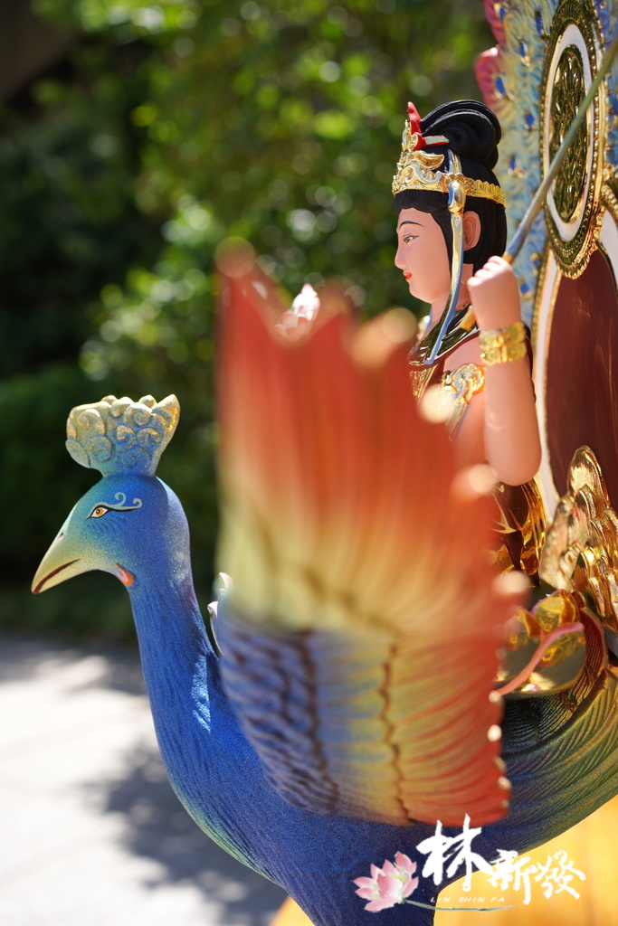 2022新版孔雀明王-001.JPG 2022新版孔雀明王-001.JPG