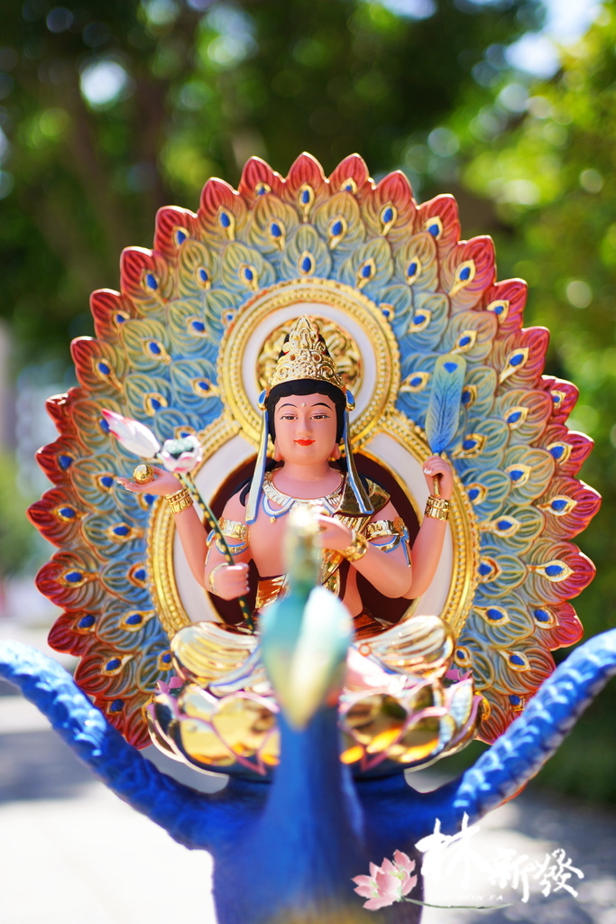 2022新版孔雀明王-010.JPG 2022新版孔雀明王-010.JPG