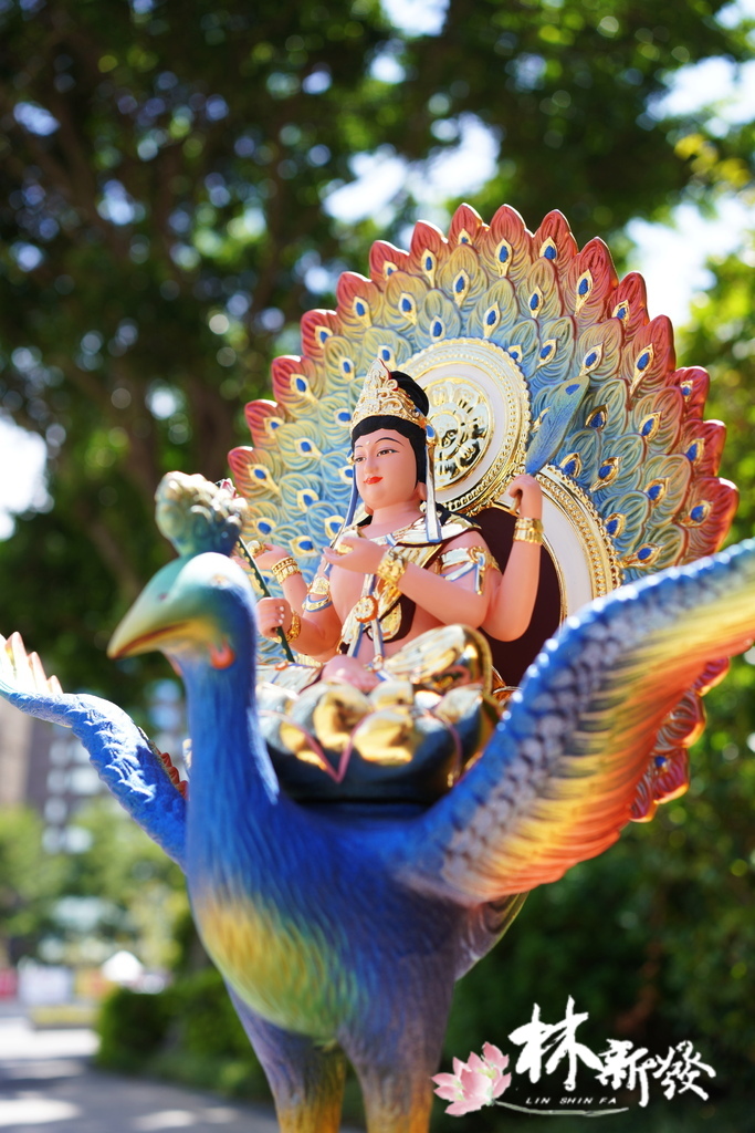 2022新版孔雀明王-011.JPG 2022新版孔雀明王-011.JPG