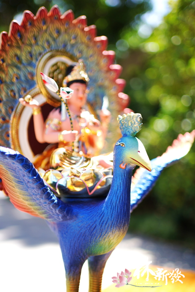 2022新版孔雀明王-009.JPG 2022新版孔雀明王-009.JPG