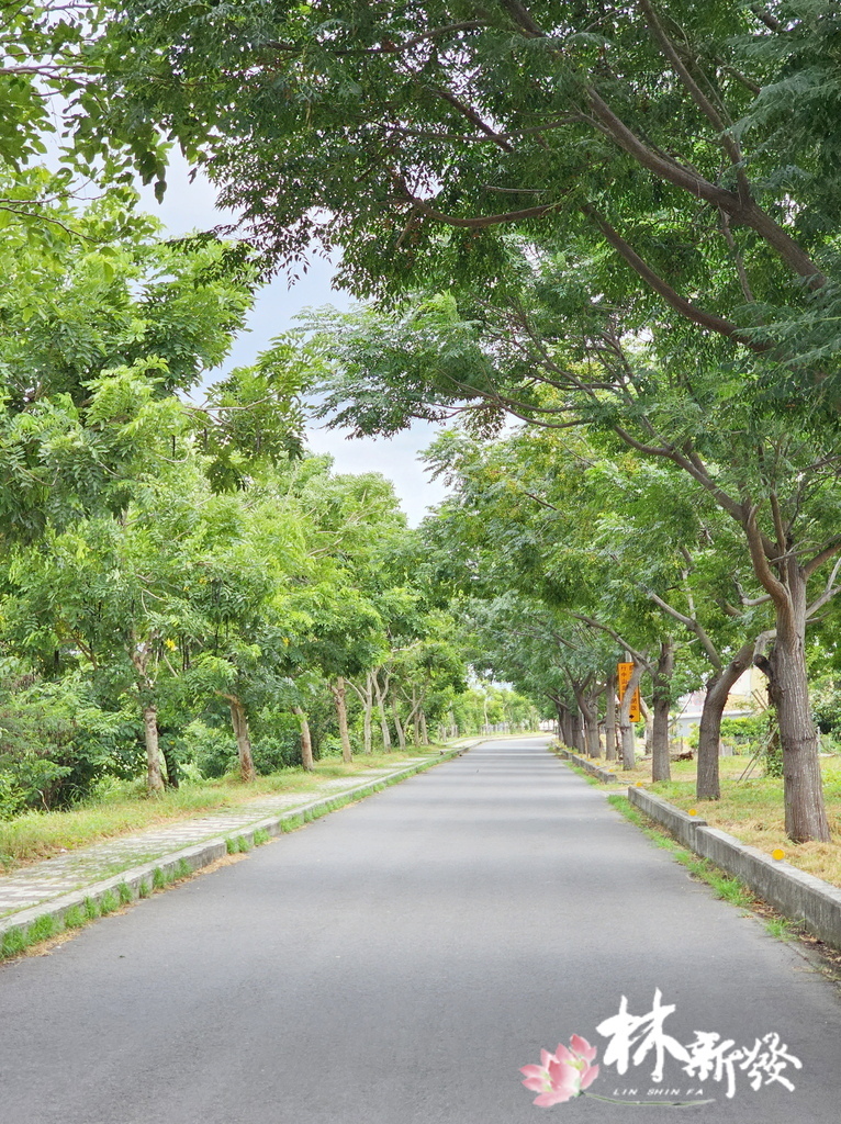 台南帝君安座圓滿完成-034.jpg