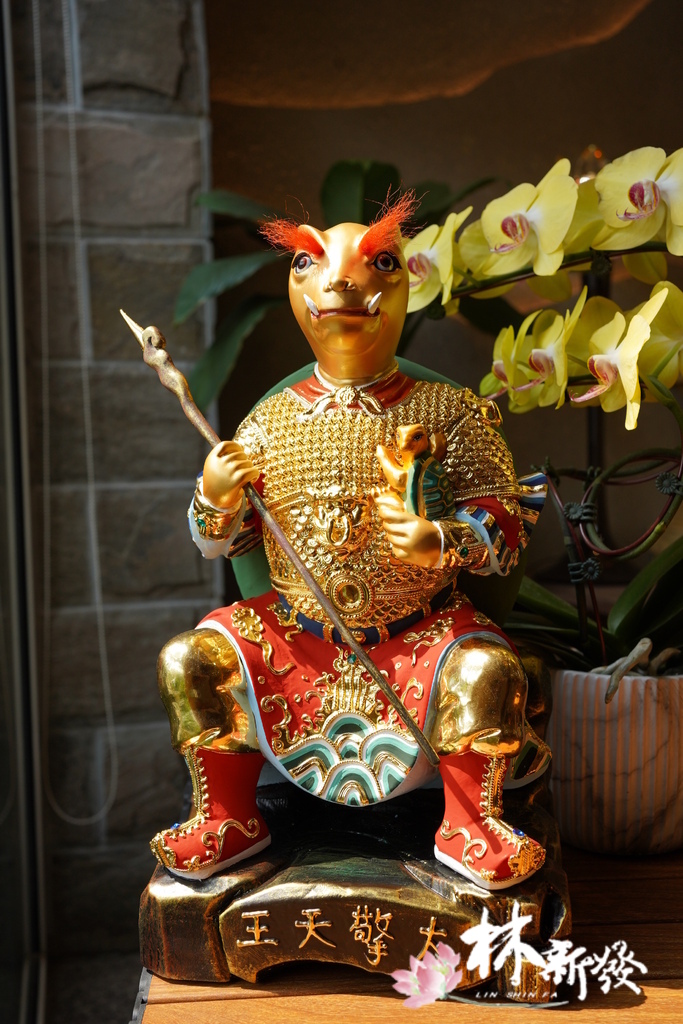 20240324整修好的龜王 (1).JPG 20240324整修好的龜王 (1).JPG