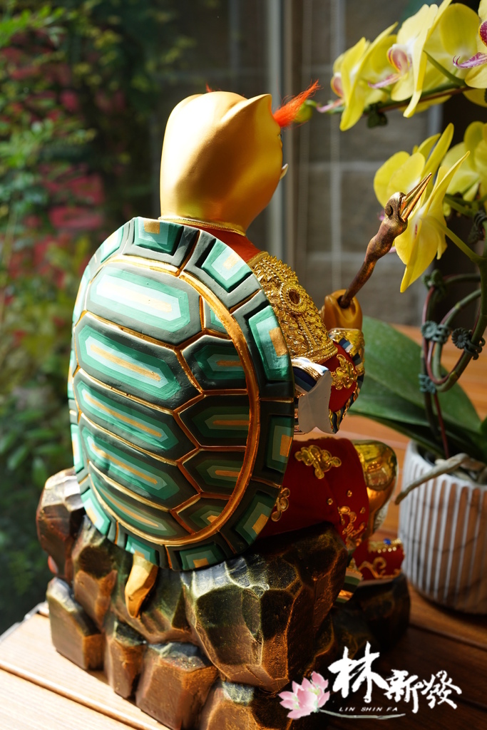 20240324整修好的龜王 (5).JPG 20240324整修好的龜王 (5).JPG