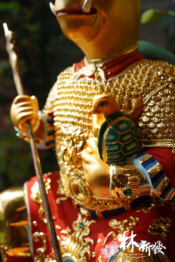 20240324整修好的龜王 (3).JPG 20240324整修好的龜王 (3).JPG