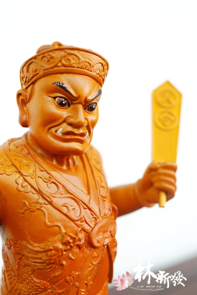 20240716-尺三增損將軍_6.JPG