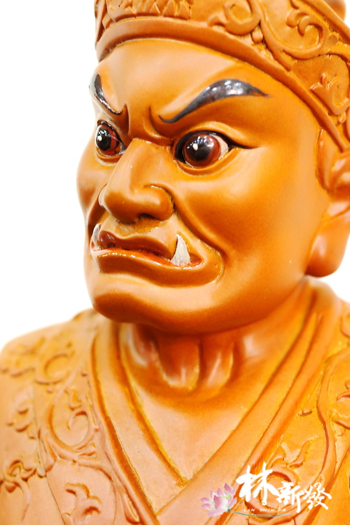20240716-尺三增損將軍_7.JPG