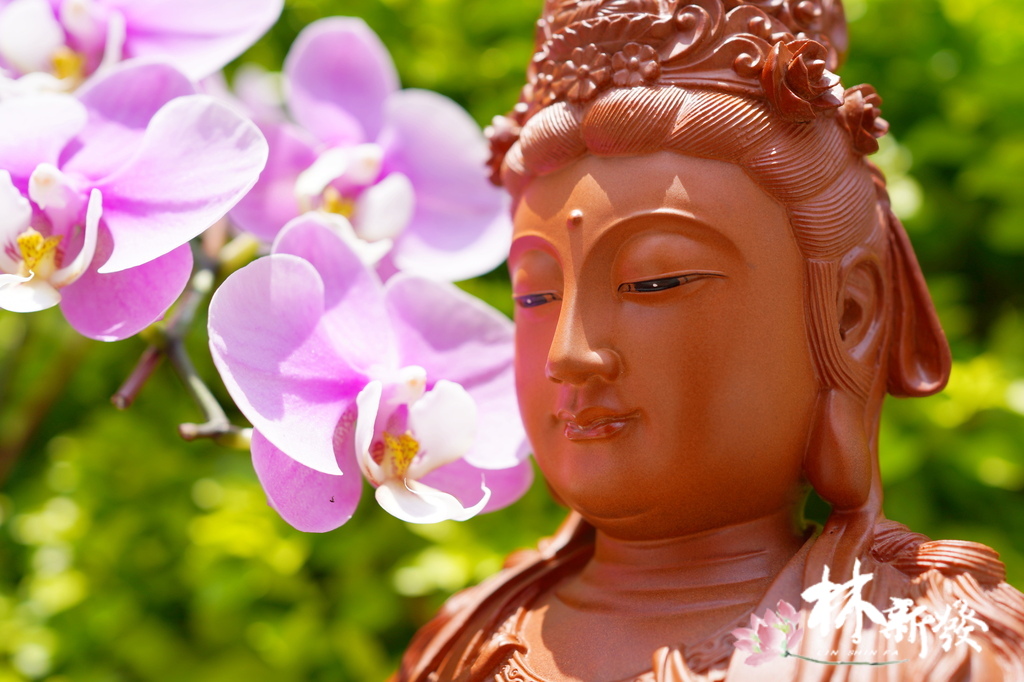 八吉祥唐式觀音-013.JPG 八吉祥唐式觀音-013.JPG