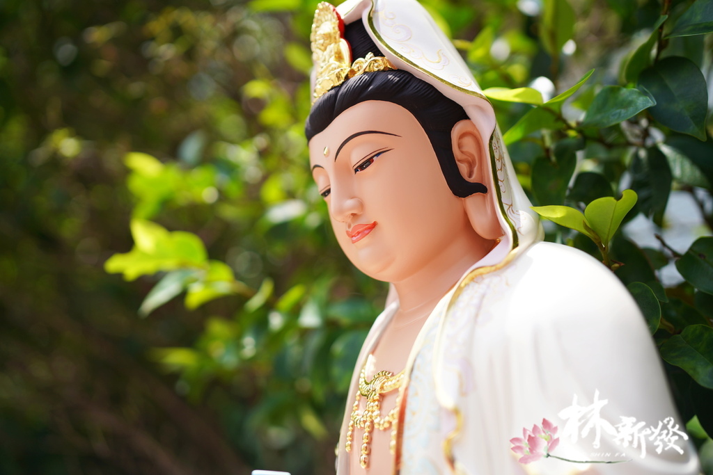 白衣觀音大士作品-003.JPG 白衣觀音大士作品-003.JPG