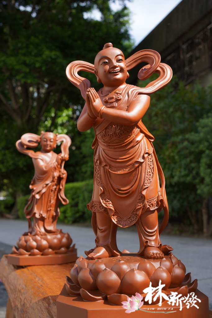 新發神藝-善財龍女(尺三，梢楠木藝術創作)