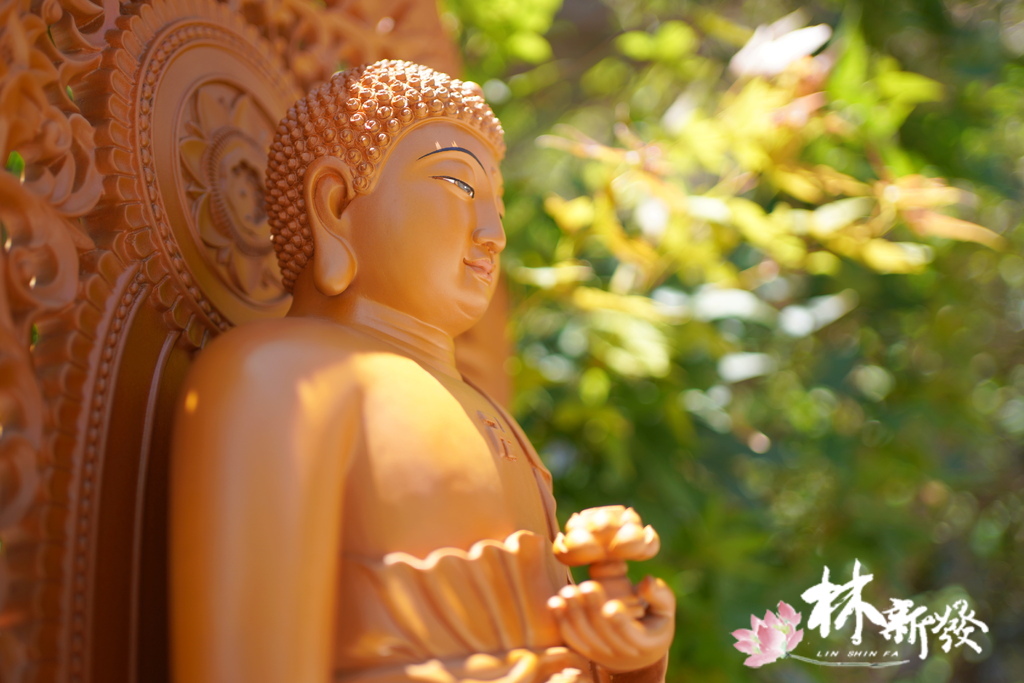 佛的八吉祥-001.JPG