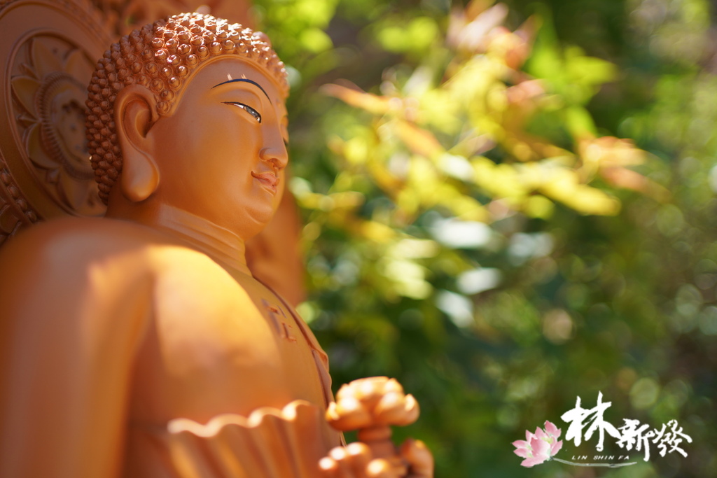 佛的八吉祥-014.JPG