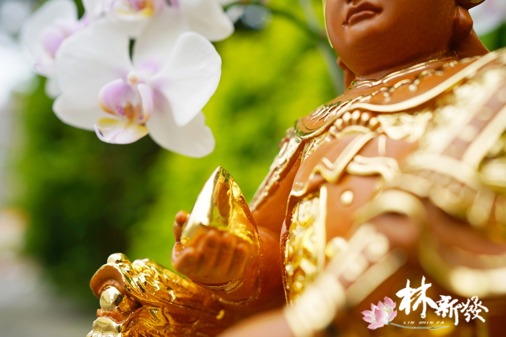 八吋八二郎神元帥描金完成-014.JPG 八吋八二郎神元帥描金完成-014.JPG