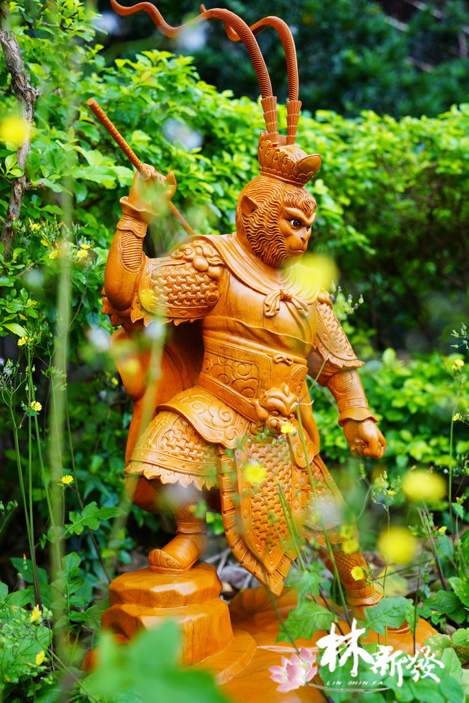 大聖爺-009.JPG