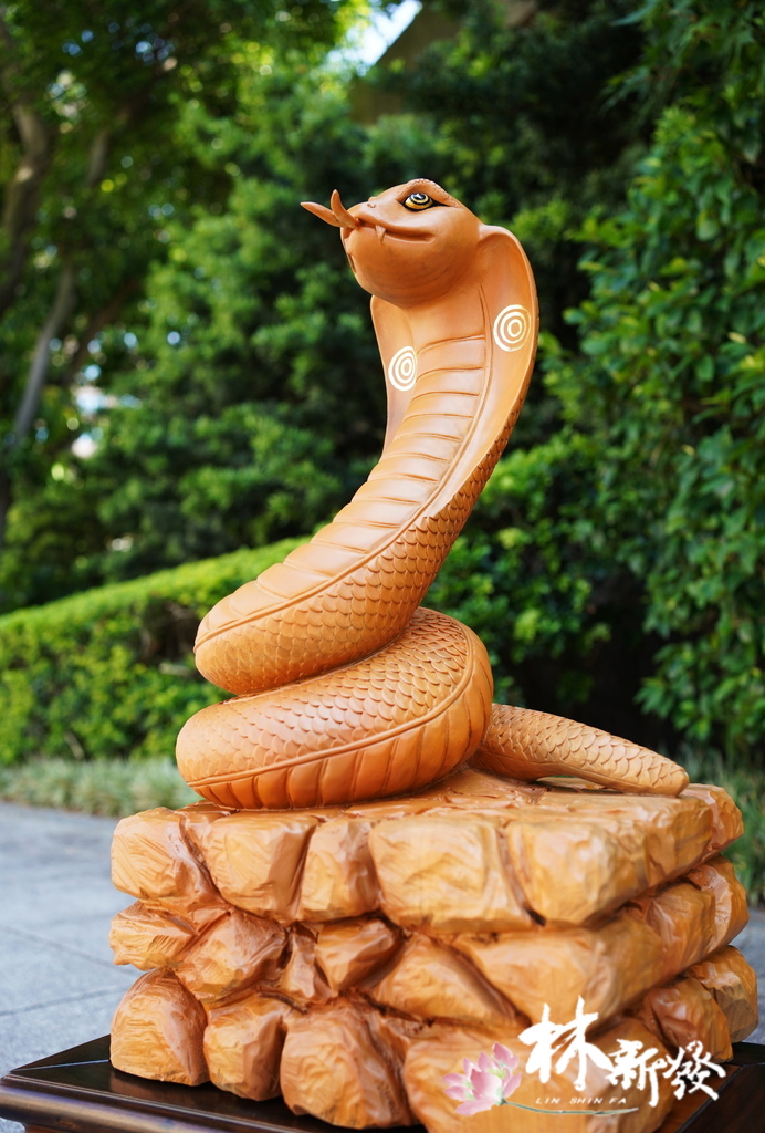 20240719-神蛇.JPG 20240719-神蛇.JPG