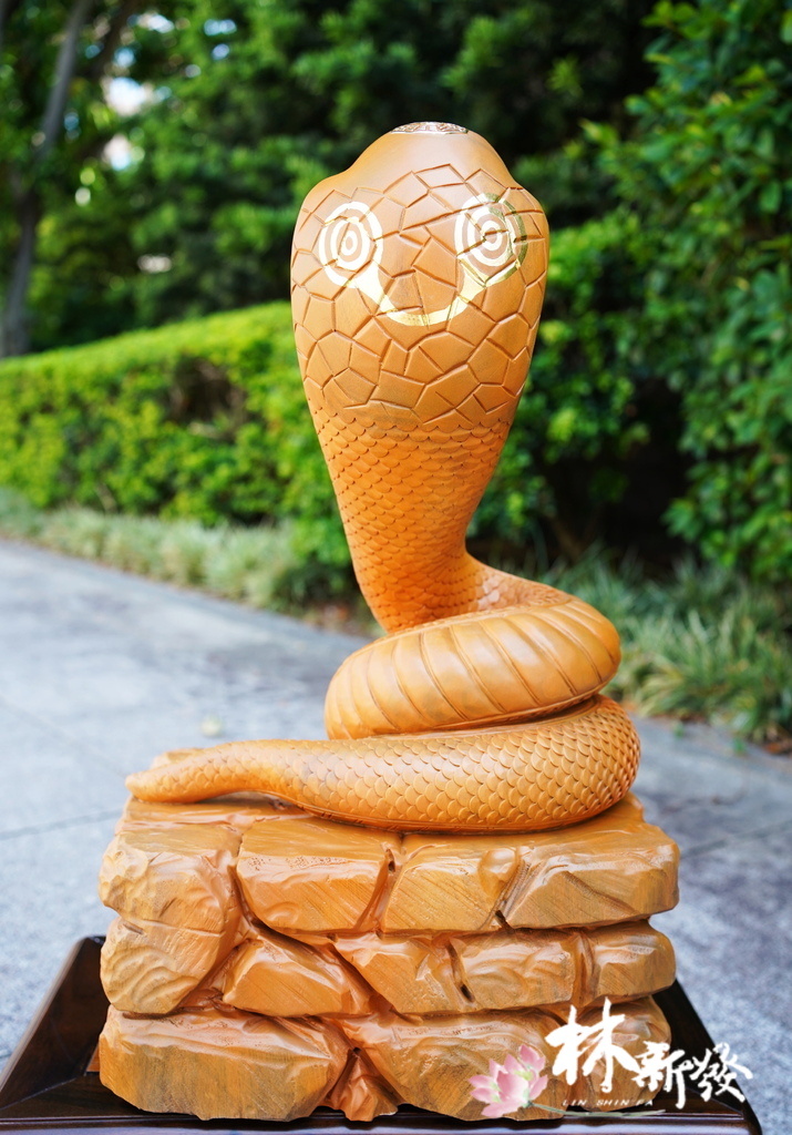 20240719-神蛇_04.JPG 20240719-神蛇_04.JPG