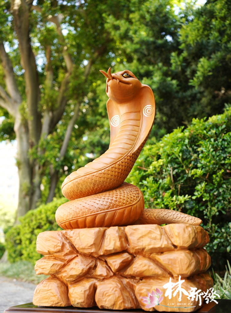 20240719-神蛇_01.JPG 20240719-神蛇_01.JPG