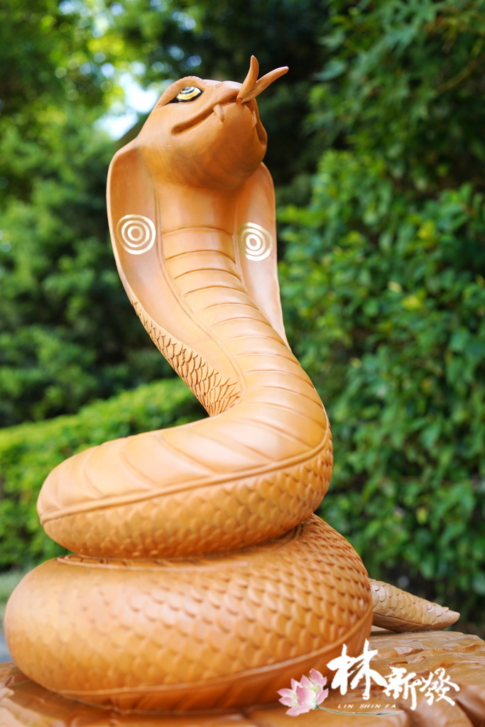 20240719-神蛇_05.JPG 20240719-神蛇_05.JPG