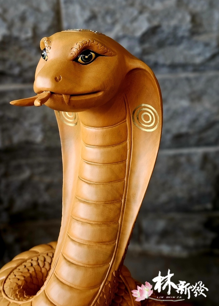 20240719-神蛇_03.jpg 20240719-神蛇_03.jpg