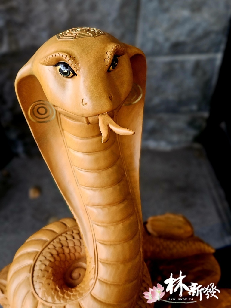 20240719-神蛇_02.jpg 20240719-神蛇_02.jpg