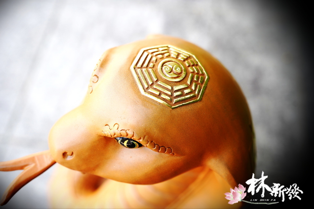 20240719-神蛇_08.JPG 20240719-神蛇_08.JPG