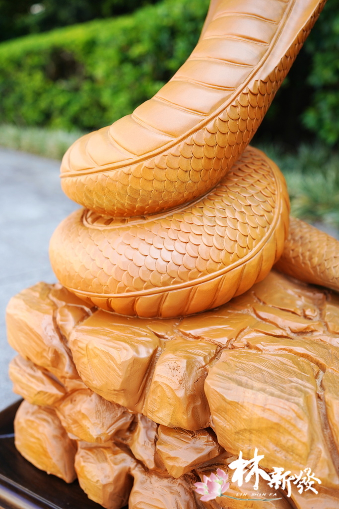 20240719-神蛇_09.JPG 20240719-神蛇_09.JPG