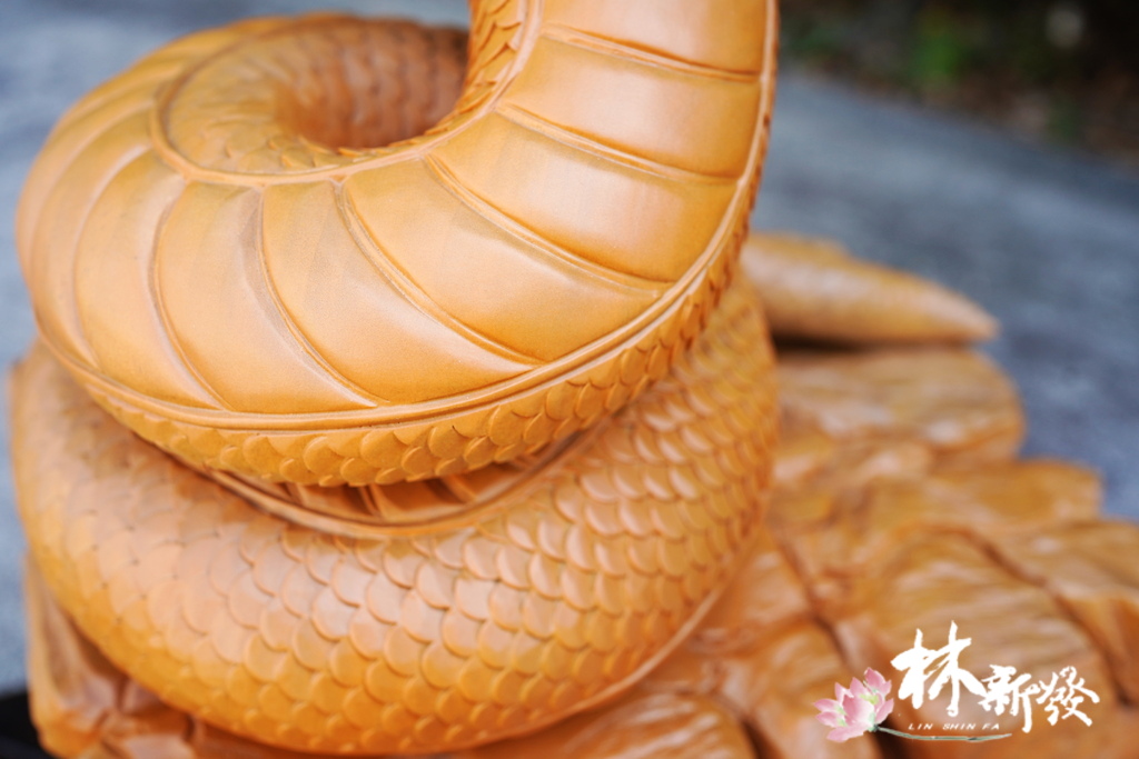 20240719-神蛇_10.JPG 20240719-神蛇_10.JPG