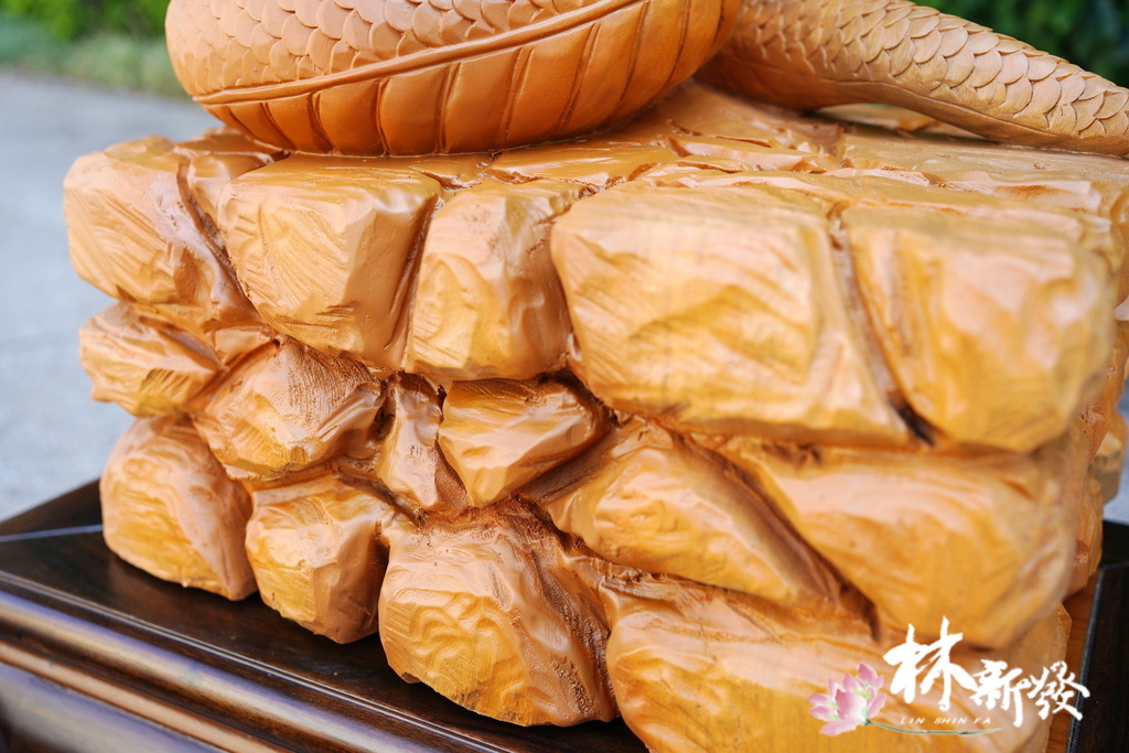 20240719-神蛇_11.JPG 20240719-神蛇_11.JPG