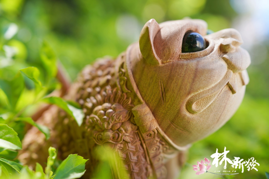 小戰虎完成-001.JPG