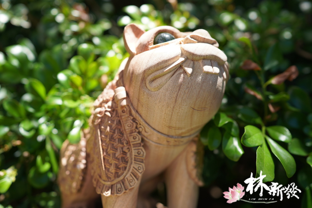 小戰虎完成-006.JPG