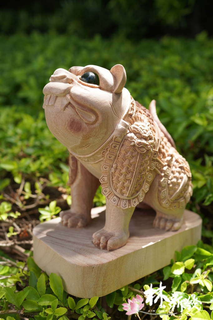 小戰虎完成-004.JPG