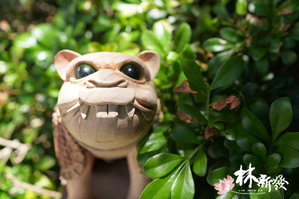 小戰虎完成-003.JPG
