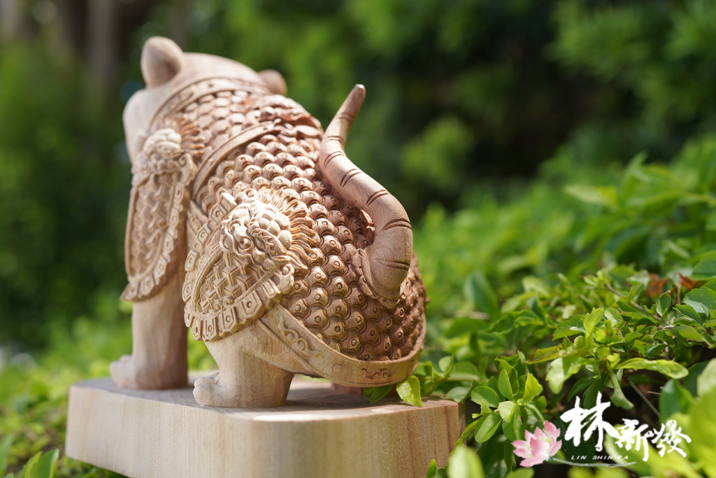 小戰虎完成-002.JPG