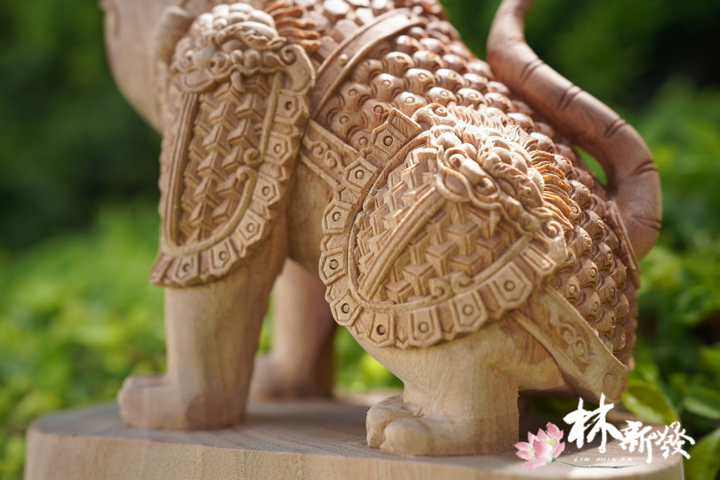 小戰虎完成-009.JPG