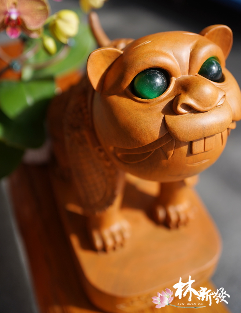 戰神小虎-001.JPG